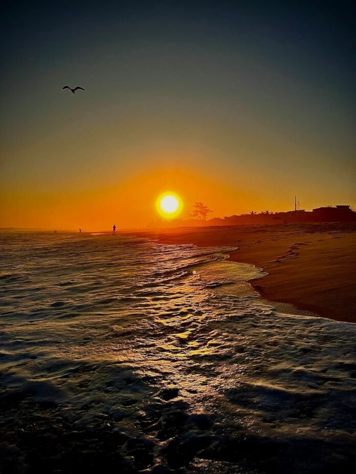 WhatsApp Image 2023-11-09 at 20.08.46 Foi iniciada nesta semana a ação de limpeza das orlas das praias de Maricá.