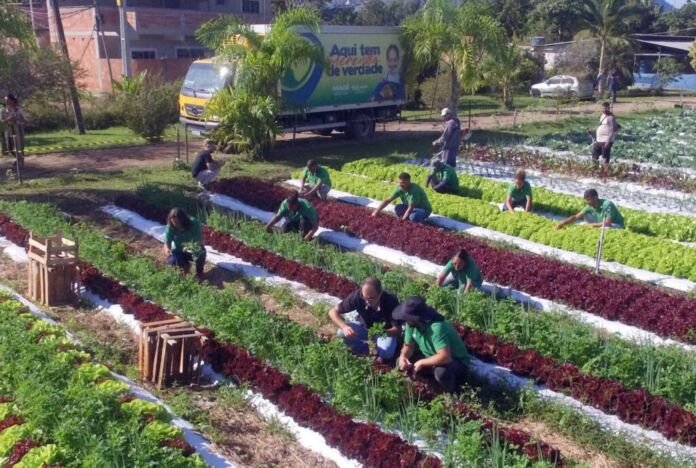 No dia 20 de março é celebrado o Dia Mundial da Agricultura, e como uma cidade de grande potencial agrícola, Magé não poderia deixar a data passar em branco.