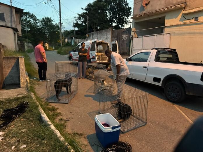 A Prefeitura de Maricá, por meio da Secretaria de Bem-Estar Animal, realizou na noite desta terça-feira (25/03) o resgate dos cães que vinham atacando pedestres na região de Araçatiba.
