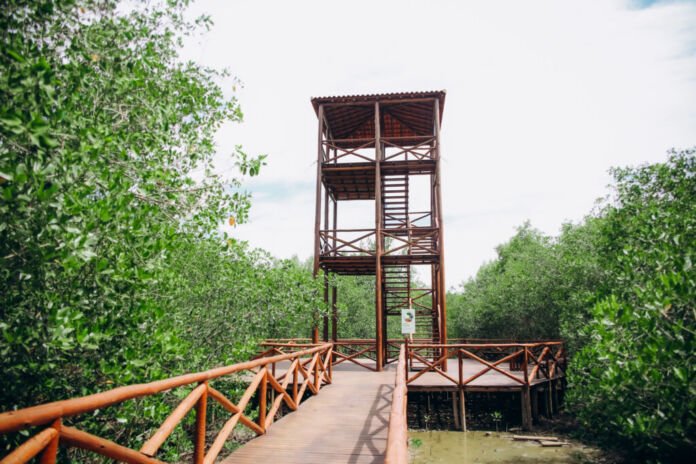 Vinte e cinco anos após o desastre ambiental no manguezal em Mauá, a Prefeitura de Magé vai inaugurar, no dia 30 de abril, o Parque Natural Municipal Barão de Mauá, data em que também é celebrado o Dia da Baixada Fluminense.