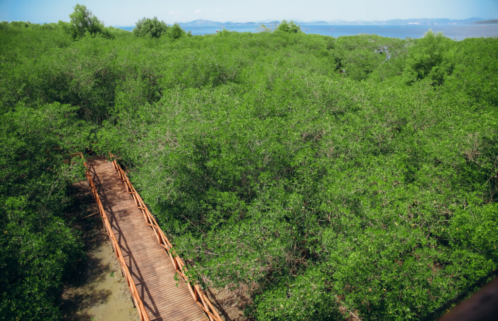 Parque Barao de Maua 113