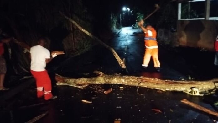 WhatsApp Image 2025-04-05 at 19.26.14 (1) Felizmente, a equipe do Conserve de Bambuí foi acionada e chegou rapidamente ao local, realizando a retirada da árvore que obstruía a rua.