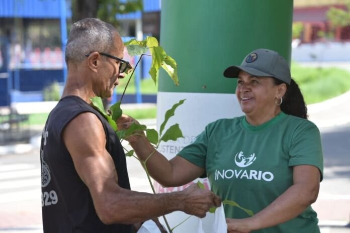 Em todos os anos de projeto, mais de 50 mil mudas foram distribuídas para a população e outras 100 mil árvores plantadas em área de reflorestamento pelo próprio governo municipal.