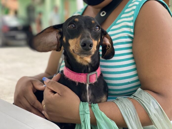 A Prefeitura de Maricá, por meio da Secretaria de Bem-Estar Animal, abre inscrições para mais uma edição do Programa Castração Solidária no próximo sábado (17/05)