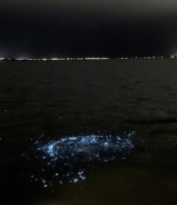 agua azul As lagoas de Maricá têm chamado a atenção de moradores e visitantes da cidade com um espetáculo natural: as águas têm brilhado ao anoitecer.