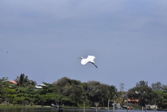 A Secretaria de Proteção e Defesa Civil de Maricá, informa que não há previsão de chuva até quinta-feira (17/07).
