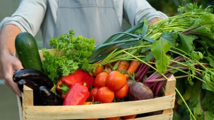 A Prefeitura de Maricá, por meio da Câmara Intersetorial de Soberania Alimentar e Nutrição (Caisan), recebeu membros da Superintendência de Segurança Alimentar e Nutricional do Estado do Rio