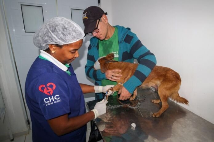 A Prefeitura de Saquarema, por meio da Secretaria Municipal de Direitos dos Animais, realizará, no próximo dia 19 de julho, mais uma edição do Mutirão de Castração de cães e gatos (machos e fêmeas).