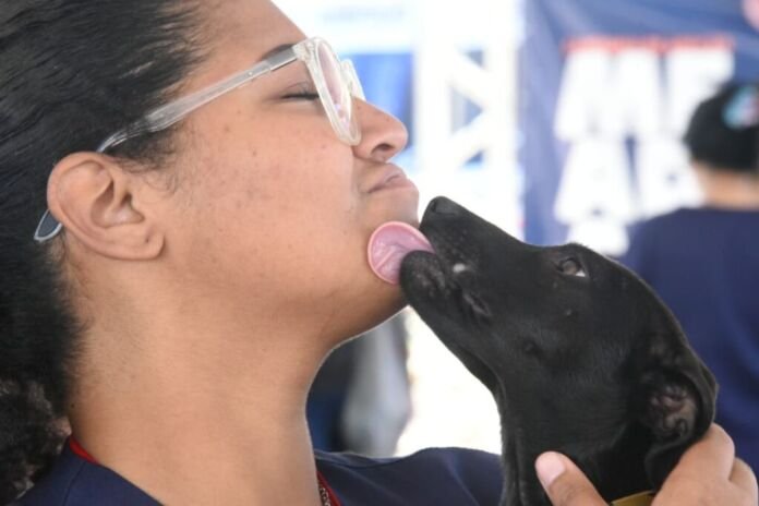 A Prefeitura de Maricá, por meio da Secretaria de Bem-Estar Animal, promoveu a 10ª Feira de Adoções.