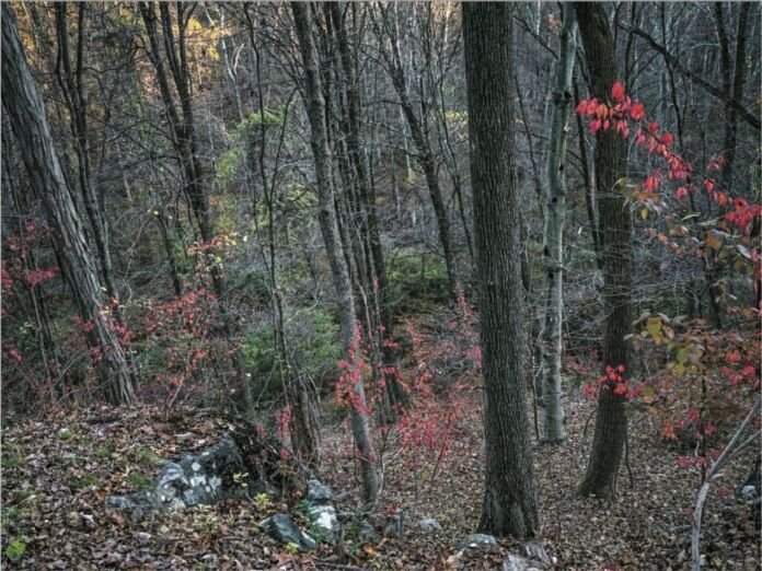 Ativo 3 (1) O Museu de Arte Contemporânea de Niterói (MAC Niterói) inaugura, neste sábado (6), a primeira exposição individual de Edo Costantini no Brasil.