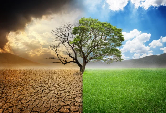 Em um mundo cada vez mais impactado pelas mudança climática, são nas cidades que os efeitos mais devastadores se manifestam.