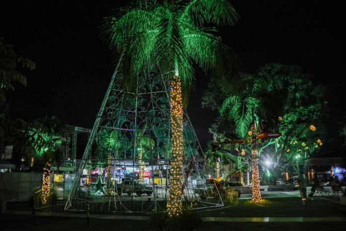 As atrações mais esperadas do Natal Brasilidade 2025, como a patinação no gelo, o trenzinho, o carrossel e outras atividades, já estão à disposição do público para agendamento, graças ao lançamento de um novo link.