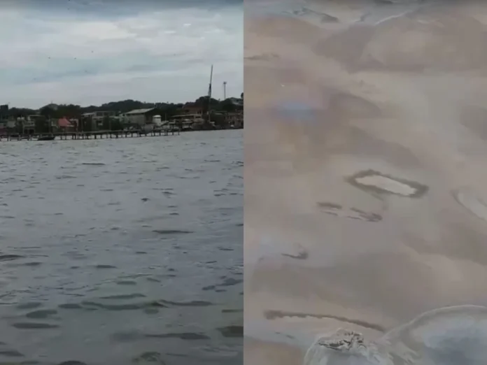 Um novo vazamento de óleo foi registrado na Baía de Guanabara no último domingo, 9 de novembro.