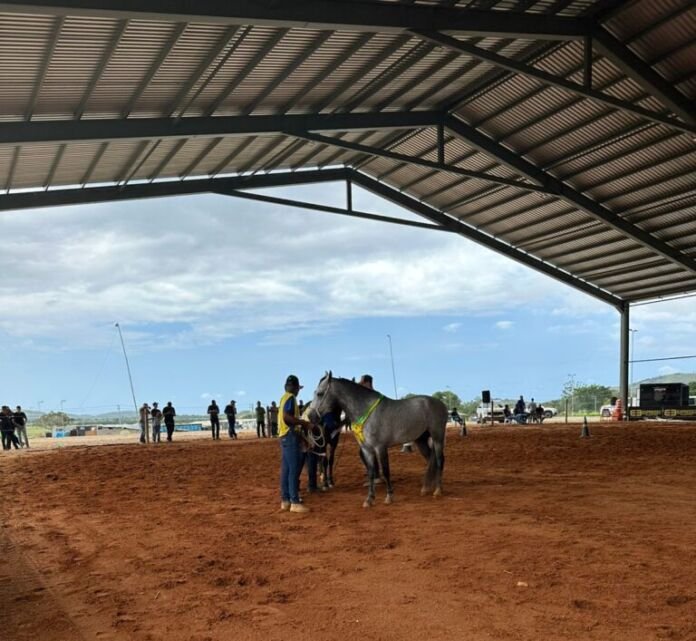 A Prefeitura de Saquarema, por meio da Secretaria Municipal de Agricultura, Abastecimento e Pesca, está realizando a 2ª Exposição Natalina de Saquarema, que segue até sábado, dia 06 de dezembro, no Parque de Exposições Marcos Santiago