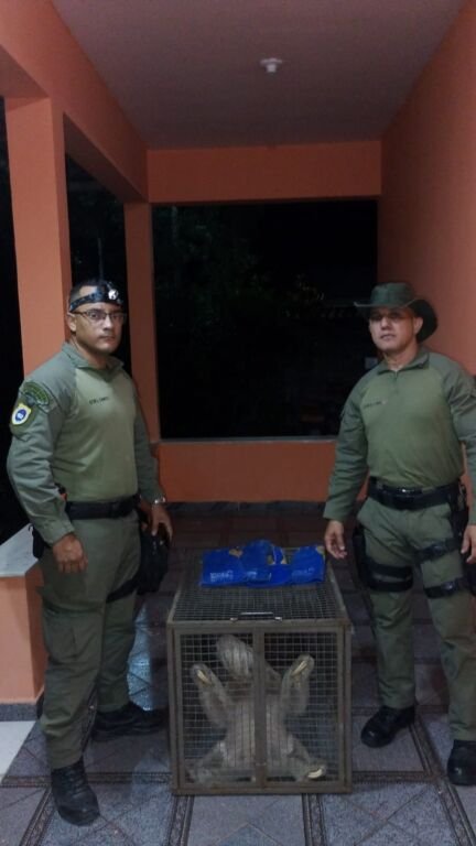 Preguiça é resgatada em Niterói Um morador de Rio d’Ouro, em Niterói, teve uma visita pra lá de inesperada. Ao avistar uma preguiça na varanda de sua residência, o cidadão acionou imediatamente o Centro Integrado de Segurança Pública