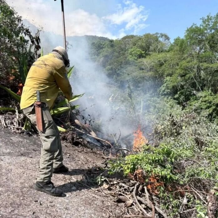 WhatsApp Image 2026-01-02 at 21.12.37 Nesta sexta-feira, 2 de janeiro, o Parque Estadual da Serra da Tiririca, localizado em Maricá, foi atingido pelas chamas e precisou da atuação de brigadistas para combater o incêndio.