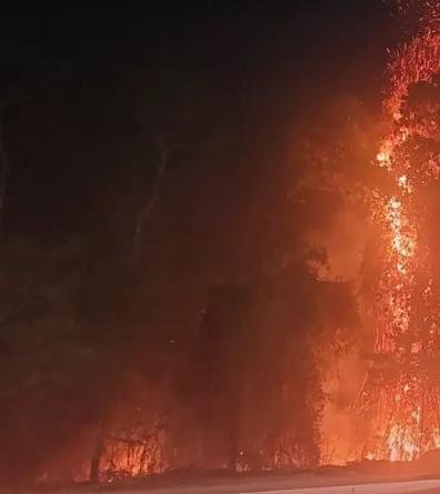 No último domingo, 11 de janeiro, parte da vegetação às margens da Estrada do Cajueiro, em Itaipuaçu, foi destruída pelas chamas.