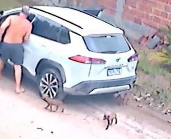o homem flagrado por câmeras de segurança deixando três filhotes de cachorro na Rua Sete, no bairro Santa Paula, se manifestou sobre o episódio