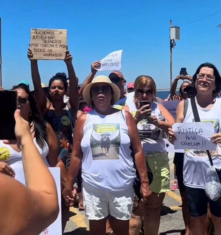 WhatsApp Image 2026 02 02 at 15.37.53 1