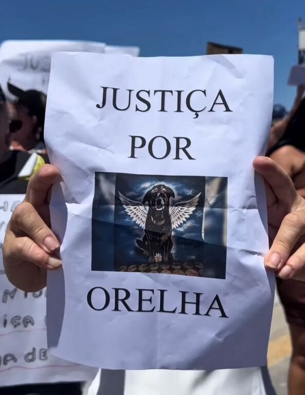 A Orla de Itaipuaçu, em Maricá, foi palco de um ato em prol da proteção dos animais e de pedido de justiça pelo cão Orelha, que foi torturado por jovens no início deste ano, em Florianópolis (Santa Catarina).