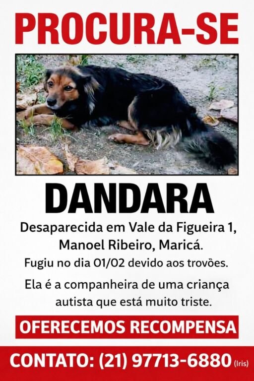 WhatsApp Image 2026 02 05 at 11.27.44