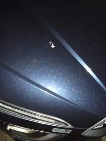 WhatsApp Image 2026 03 11 at 11.47.03 1