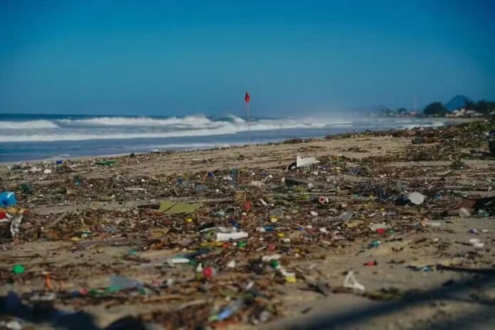 Durante o Dia Mundial da Água, comemorado em 22 de março, mais de 100 voluntários recolheram 33 kg de lixo que estavam na praia e na faixa de areia de Ponta Negra.