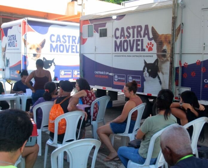 Austin será o quarto bairro a receber o Castramóvel da Prefeitura de Nova Iguaçu. A partir desta quarta-feira (25), a unidade móvel da Secretaria Municipal de Defesa e Proteção dos Animais (SEMDEPA) vai estacionar na Avenida Coronel Monteiro de Barros, próximo ao número 295, em frente ao contêiner do programa Segurança Presente