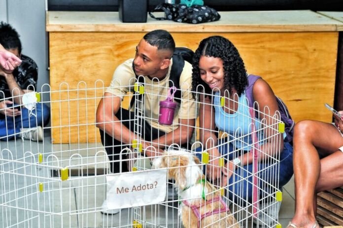 Prestes a iniciar uma nova fase da vida a dois, o pernambucano Sérgio Matheus Maceno da Silva, de 25 anos, encontrou na 5ª Campanha Municipal de Adoção de Cães e Gatos de 2026 — promovida pela Prefeitura de Nova Iguaçu