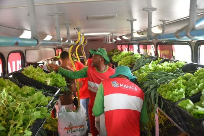 A Prefeitura de Maricá, por meio da Secretaria de Agricultura e Pecuária, realizou nesta terça-feira (28/04) a colheita e distribuição de hortaliças frescas para moradores do bairro Mumbuca.
