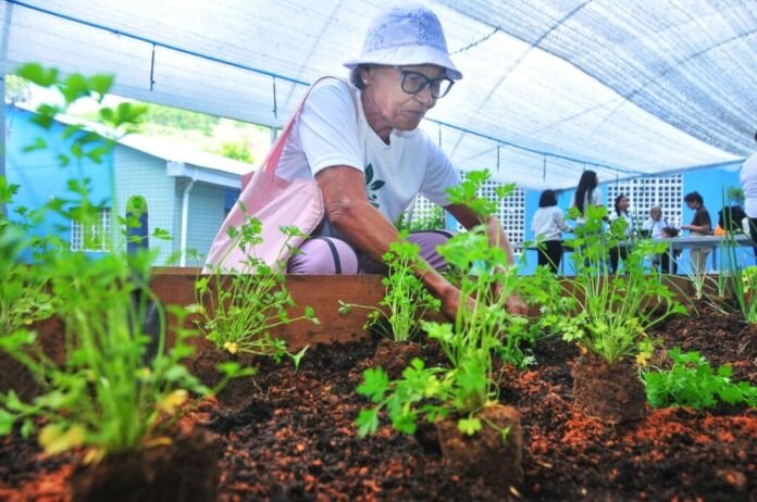 A Prefeitura de Nova Iguaçu promoveu, nesta terça-feira (14), uma oficina de jardinagem no Espaço Municipal da Terceira Idade (Esmuti), contou com a presença dos idosos usuários do equipamento da Secretaria Municipal de Assistência Social (SEMAS) e de estudantes do curso de Psicologia da Unigranrio
