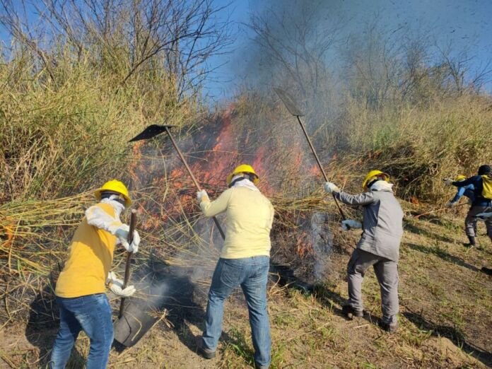 A Prefeitura de Nova Iguaçu vai abrir duas novas turmas do curso de formação da Brigada Florestal Voluntária