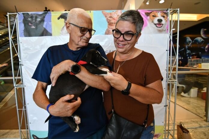 Após quase três décadas de casamento e uma vida inteira dedicada ao cuidado com animais, o casal Petula Clara Borba, de 50 anos, e Elton Dedruin, de 64, encontrou um novo motivo para renovar as energias da família neste domingo (26)