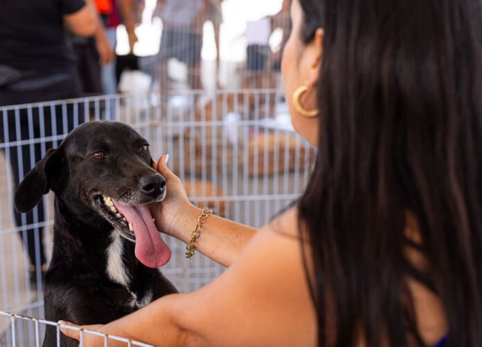 A Prefeitura de Maricá realiza neste sábado (20/06) uma campanha solidária voltada para a saúde e o bem-estar dos animais no Mercado Produtor, no Centro