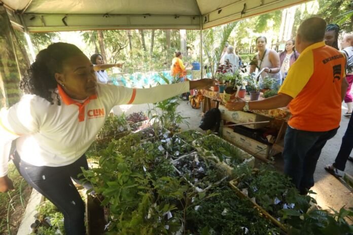 A Prefeitura de Niterói encerrou, neste sábado (6), a programação da Semana do Meio Ambiente com uma grande celebração no Campo de São Bento, em Icaraí