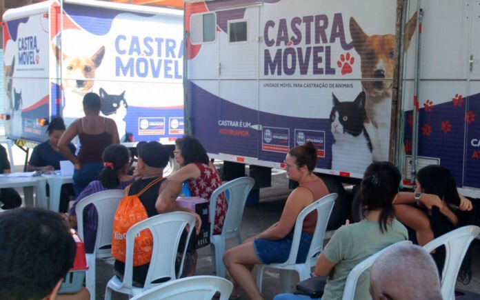 A Prefeitura de Nova Iguaçu vai ampliar o acesso à castração gratuita de cães e gatos em julho.
