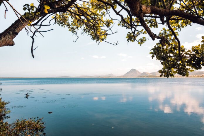 Foto Gabriel Ferreira A Prefeitura de Maricá realiza uma operação especial de limpeza e remoção da vegetação acumulada nas margens da Lagoa de Araçatiba