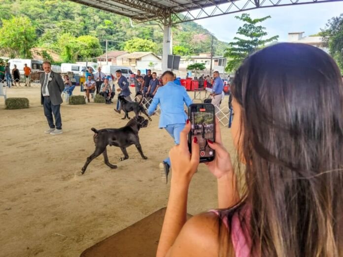 O Parque Rural, equipamento da Prefeitura de Niterói, vai realizar a Exposição de Cães de Raça, evento gratuito que reunirá criadores, expositores, especialistas e amantes do universo pet em uma programação voltada à valorização do bem-estar animal e convivência familiar