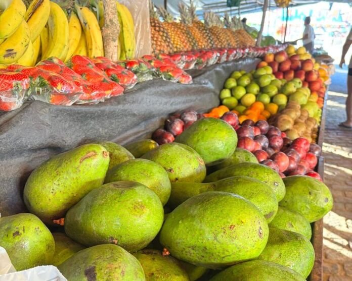 Neste 28 de julho, data em que é celebrado o Dia do Agricultor, Saquarema destaca o impacto de suas políticas públicas voltadas para o fortalecimento da agricultura familiar