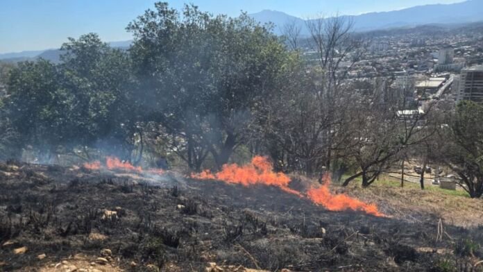 Com a chegada do período de estiagem, a Prefeitura de Nova Iguaçu intensificou as ações preventivas para reduzir o risco de incêndios florestais no município