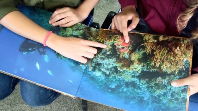578f9a62-pratica-pedagogica-de-escola-de-itaborai-e-selecionada-entre-as-25-melhores-do-pais-pelo-programa-literatura-atlantica A Rede Municipal de Ensino de Itaboraí conquistou mais um reconhecimento nacional na área da educação