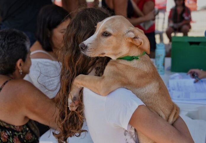 A Prefeitura de Maricá lançou o Catálogo de Adoção, uma ferramenta virtual que reúne cães e gatos disponíveis para adoção responsável no município