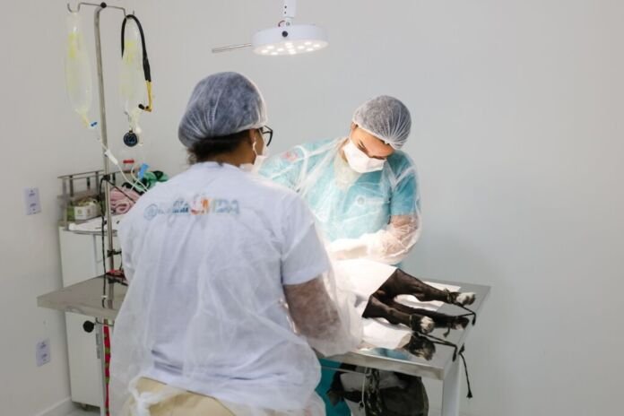 A Prefeitura de Saquarema, por meio da Secretaria Municipal dos Direitos dos Animais - SMDA, realizará neste sábado, dia 29 de agosto, mais uma edição do projeto Adote um Amigo + Ações da SMDA