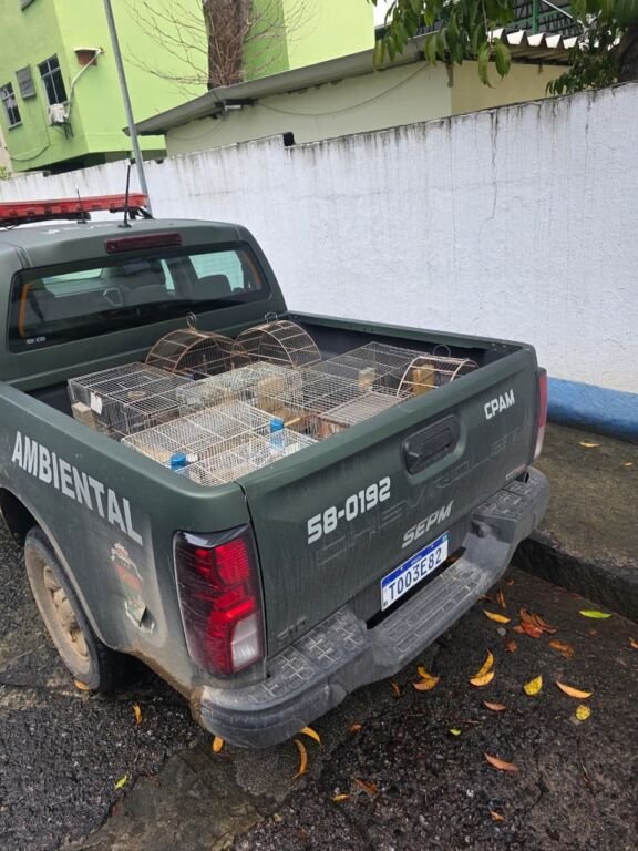 Uma ação conjunta entre a Prefeitura de Nova Iguaçu, o Instituto Estadual do Ambiente (INEA), o ICMBio e da Polícia Militar apreendeu 47 aves silvestres que eram mantidas irregularmente em gaiolas em uma casa na Rua Muniz Barreto, em Vila de Cava