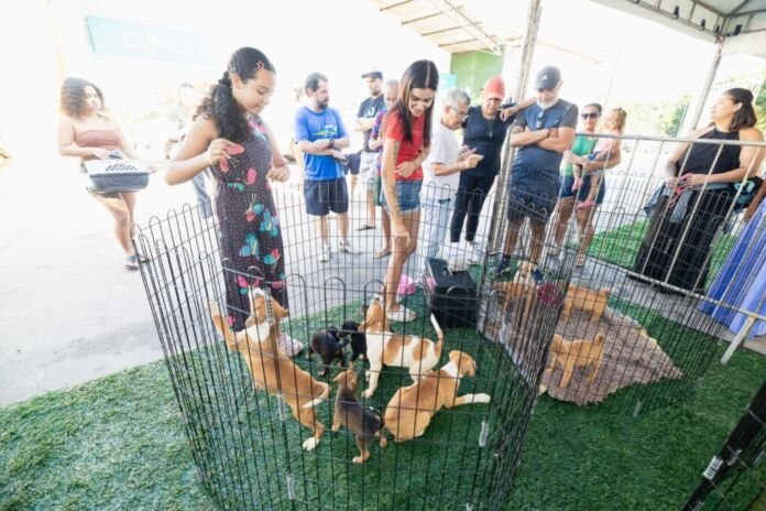 A Prefeitura de Saquarema, por meio da Secretaria Municipal dos Direitos dos Animais, realizou, no último sábado, 29 de agosto, mais uma edição da Secretaria Itinerante e Mutirão da Castração, na Clínica Veterinária Municipal Edelso Bernardo Vignoli, em Bonsucesso