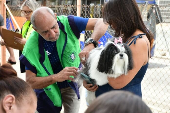 WhatsApp Image 2026-10-13 at 19.51.37 A Prefeitura de Nova Iguaçu realiza neste sábado (17) a primeira fase da Campanha de Vacinação Antirrábica Animal, com 46 pontos de atendimento distribuídos por diferentes bairros da cidade.